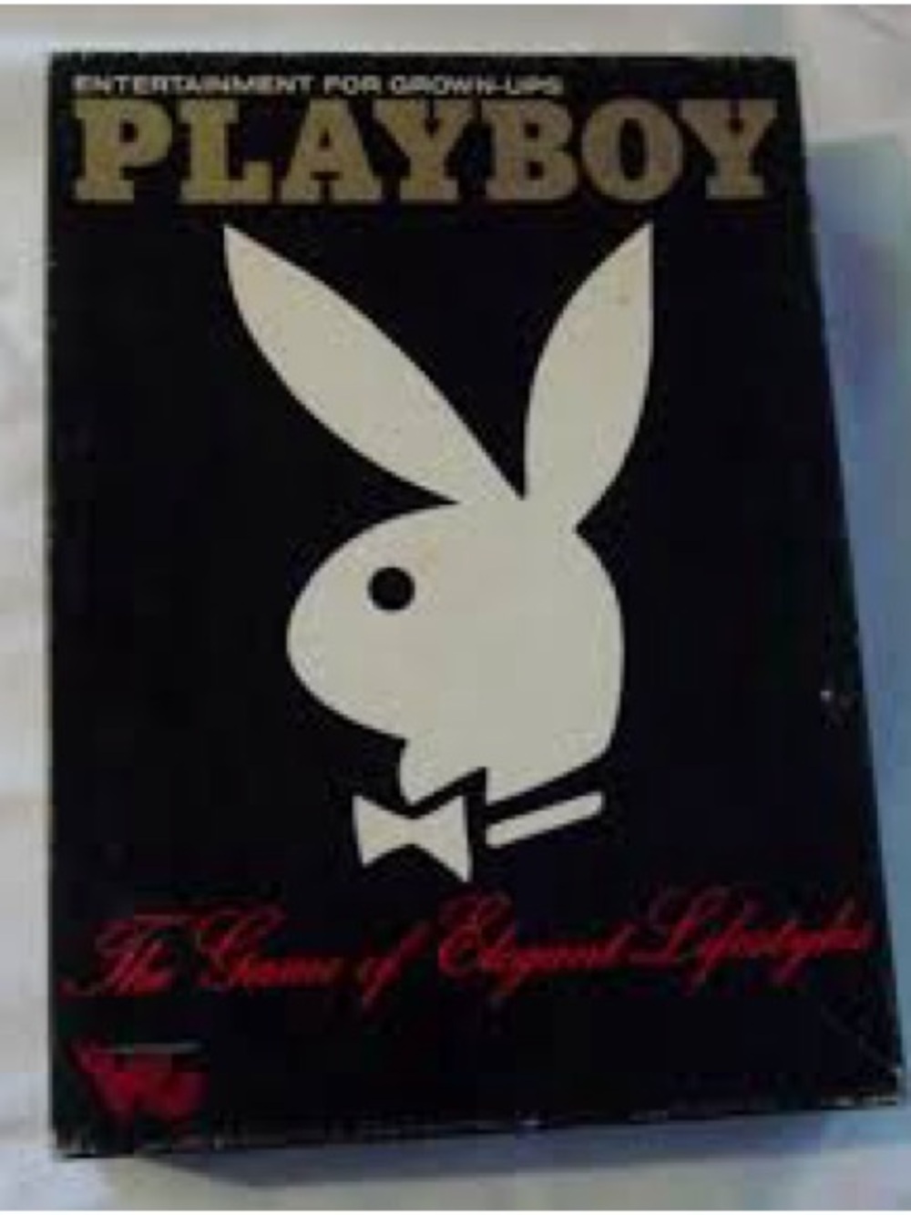 Playboy Y2k Game